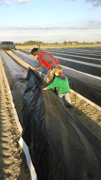 feld2